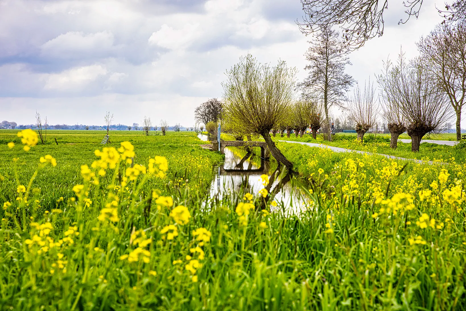 Sustainability pijler 1 sustainable dairy farming blok 8