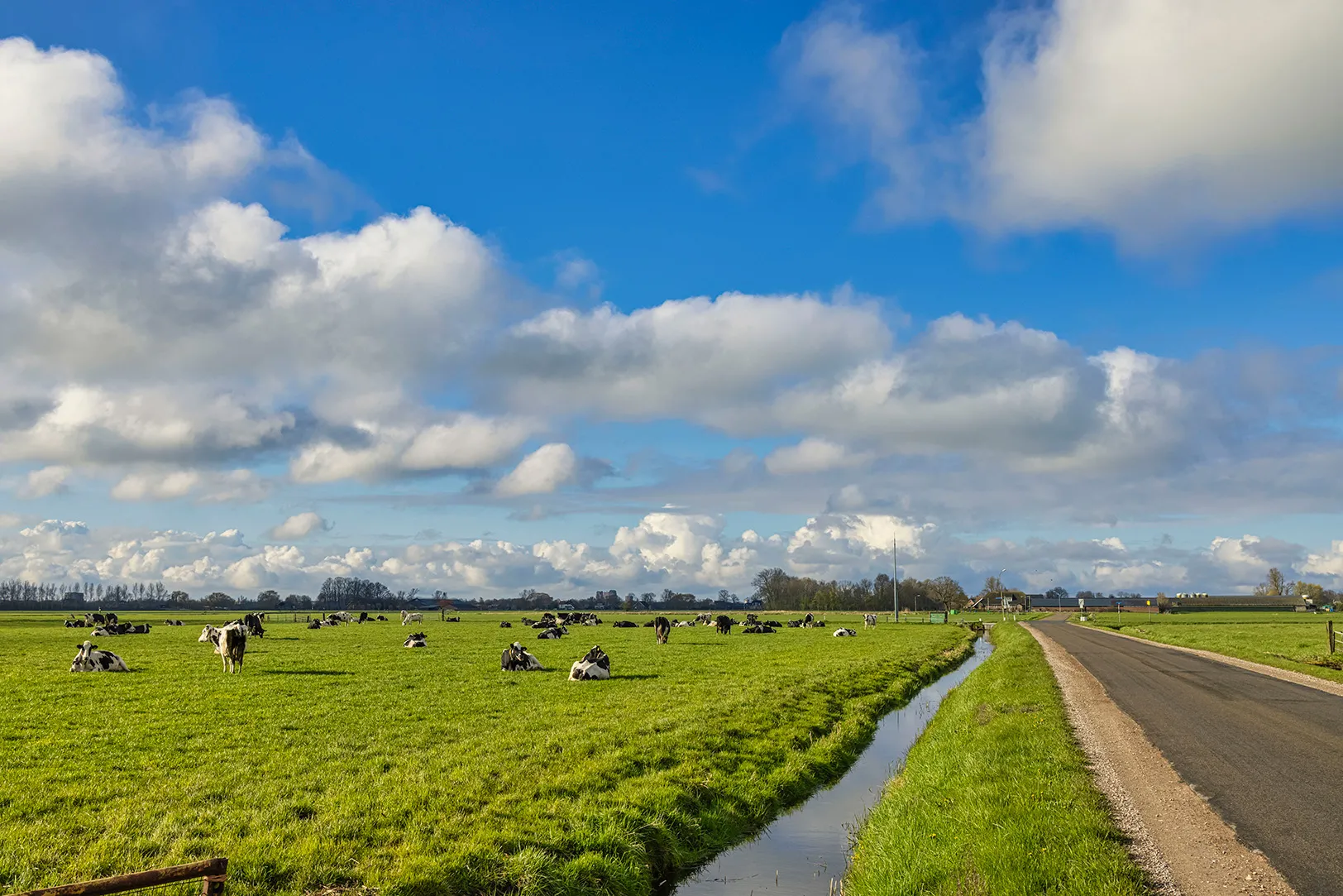 Sustainability lowering greenhouse gas emissions on farms