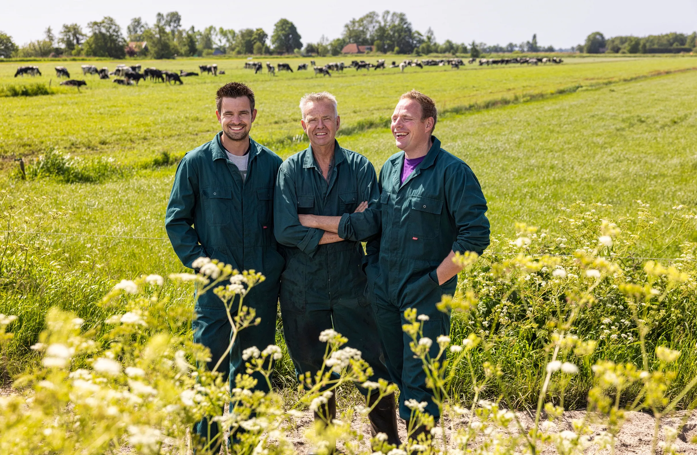 Bedrijf in beeld Holtrop header