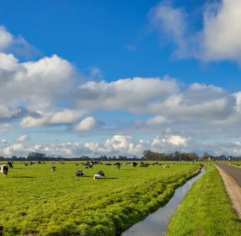 Sustainability lowering greenhouse gas emissions on farms