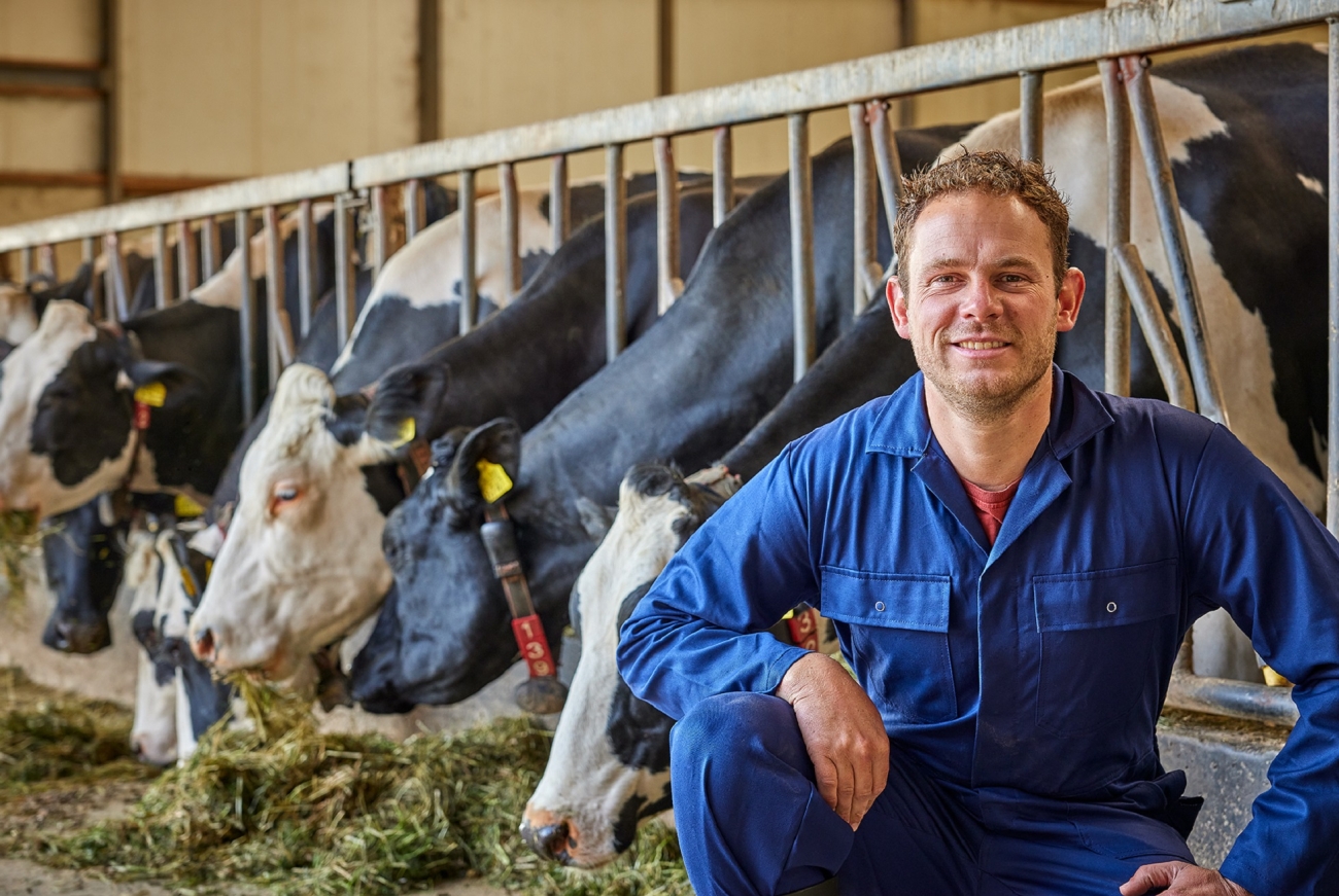 Melkveehouder Pieter Snoek Abcoude